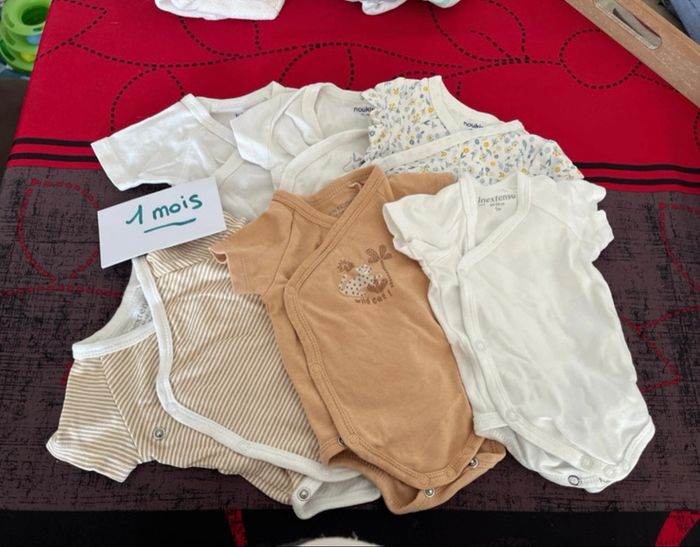 Lot bodies - photo numéro 2