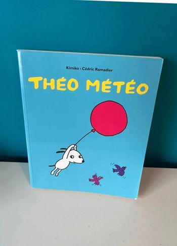 Livre école des loisirs Théo météo
