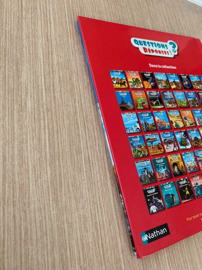 Livre questions réponses la préhistoire - photo numéro 3