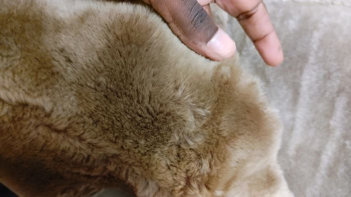 Beau manteau vintage en shearling montone peau de mouton retourné laine S M - photo numéro 11