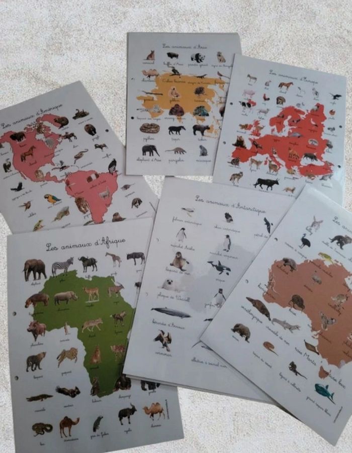 Carte des continents des animaux - photo numéro 2
