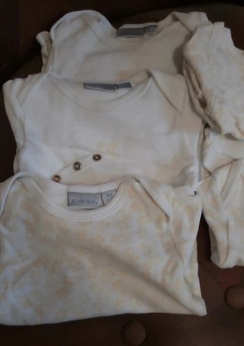Lot de 5 bodies