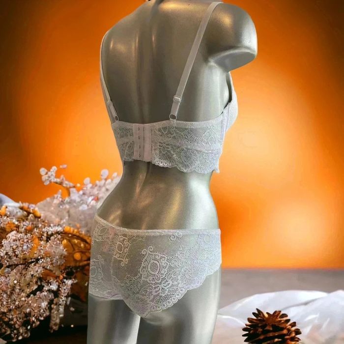 Splendide lingerie 90B et S - photo numéro 2