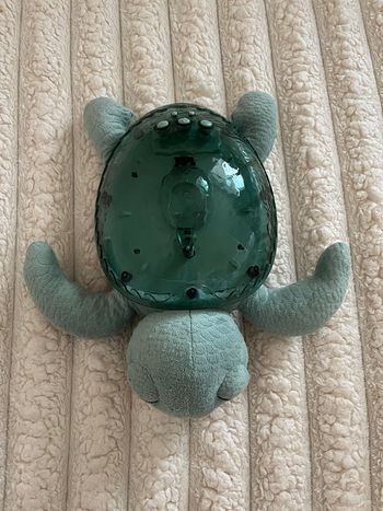 Tortue Cloud b verte