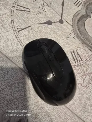 Souris sans fil
