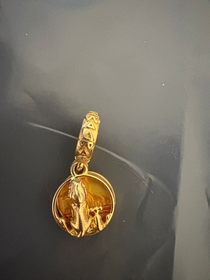 Charm pandora - photo numéro 3