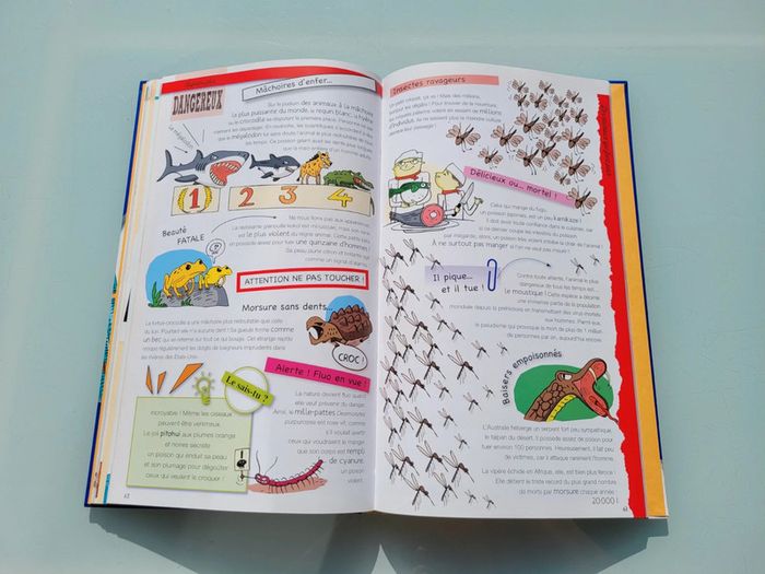 Grand livre Le Larousse des Records, couverture mousse - photo numéro 9