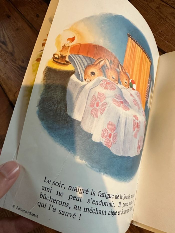 Livre ancien vintage Hemma La petite famille lapin collection petite famille cartonné - photo numéro 8