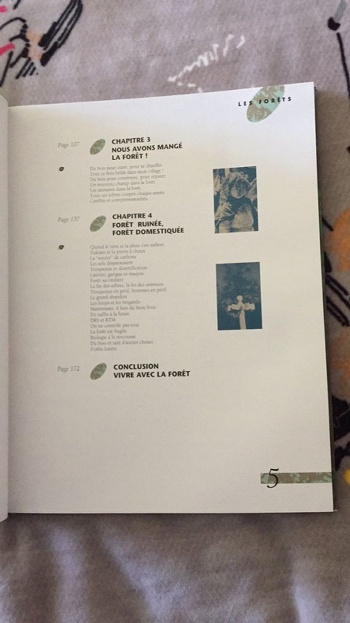 Les Forêts - photo numéro 4