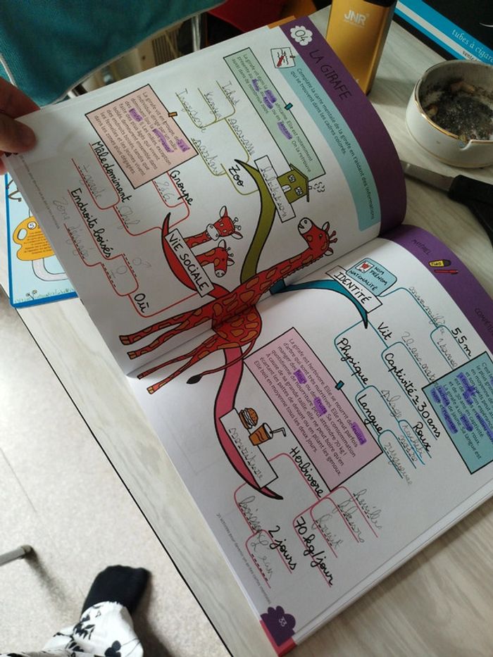 📘 Lot apprentissage ludique – 2 cahiers d’activités - photo numéro 8