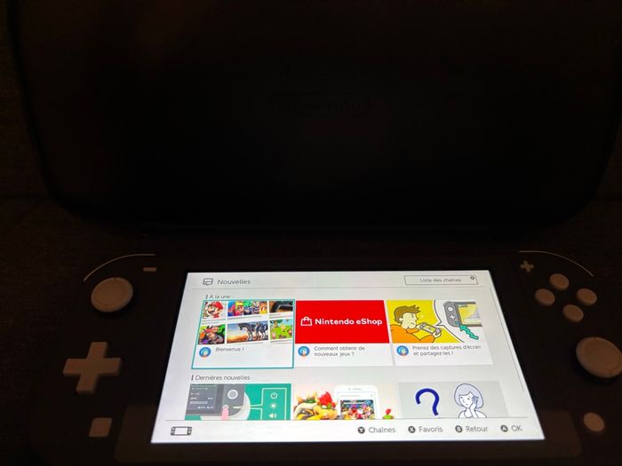 Console Nintendo Switch Lite + Pochette de transport - photo numéro 6