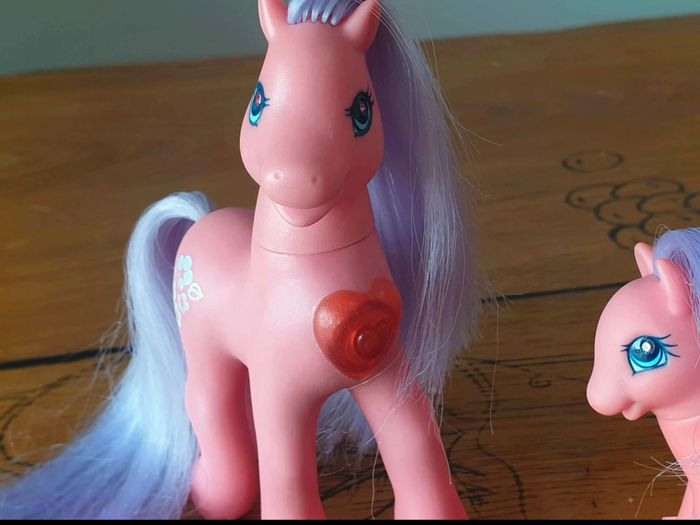 Mon Petit Poney G2  Princess  Light Up Morning  Glory Families - photo numéro 7