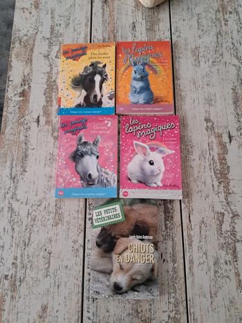 Lot livres magiques animaux