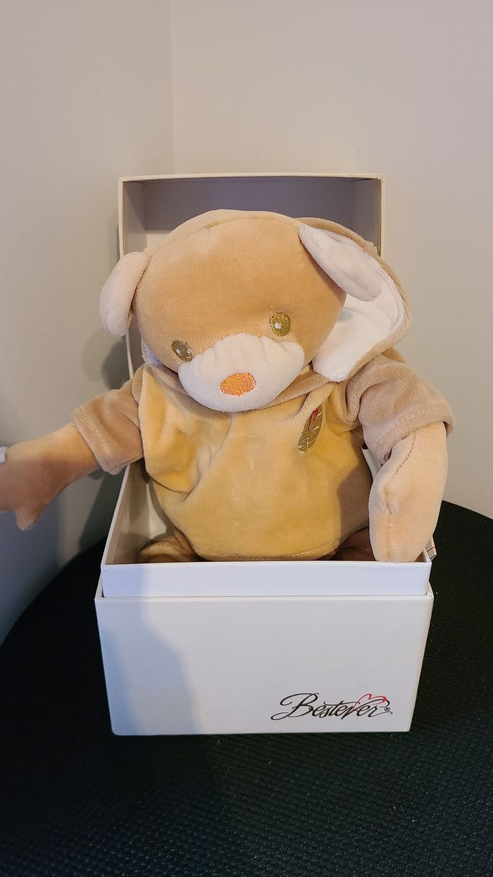 doudou ours - photo numéro 3