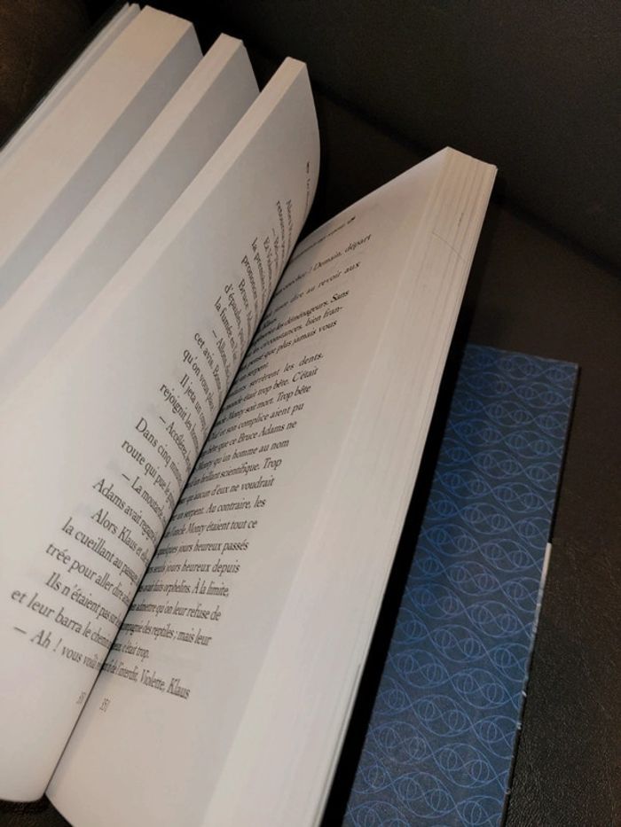 Les désastreuses aventures des orphelins de baudelaire - photo numéro 7