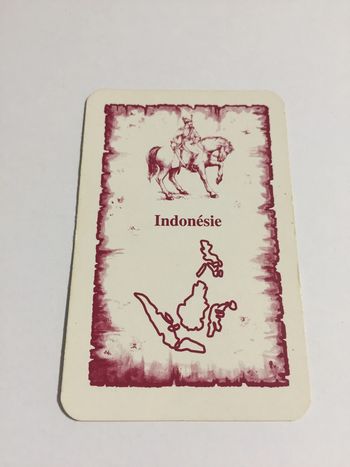 Carte Indonésie pièce détachée jeu de société Risk la conquête du monde Parker #A54