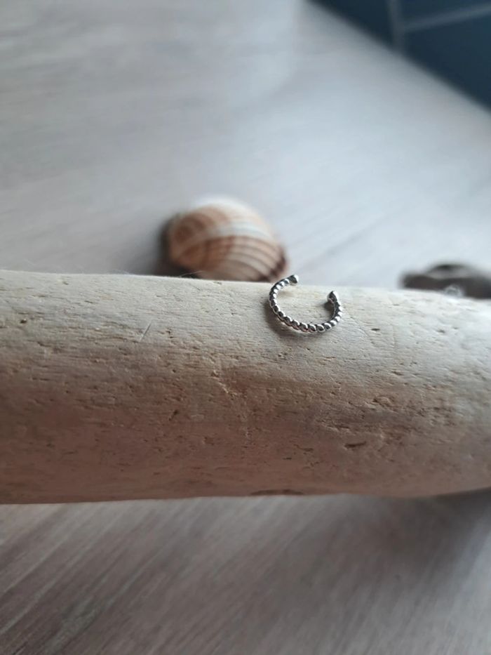 Piercing - photo numéro 2