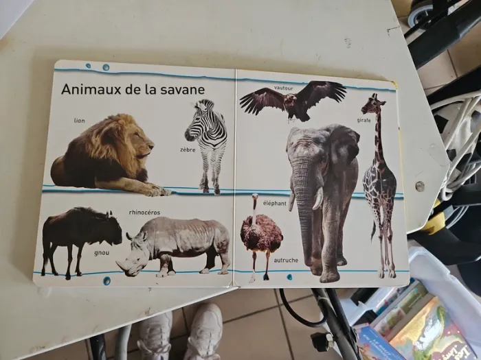 Lot livre - photo numéro 4