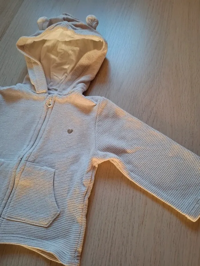 Veste zippée à capuche - photo numéro 2