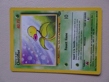 Carte pokémon chétiflor