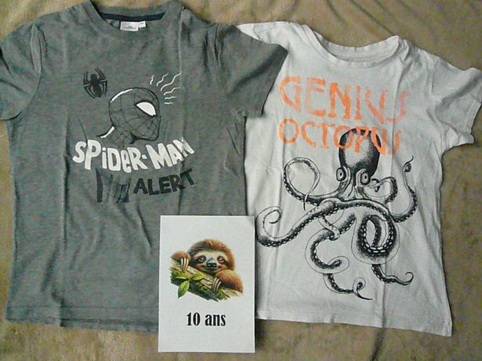 Lot de 2 tee-shirts garçon 10 ans (n°38)