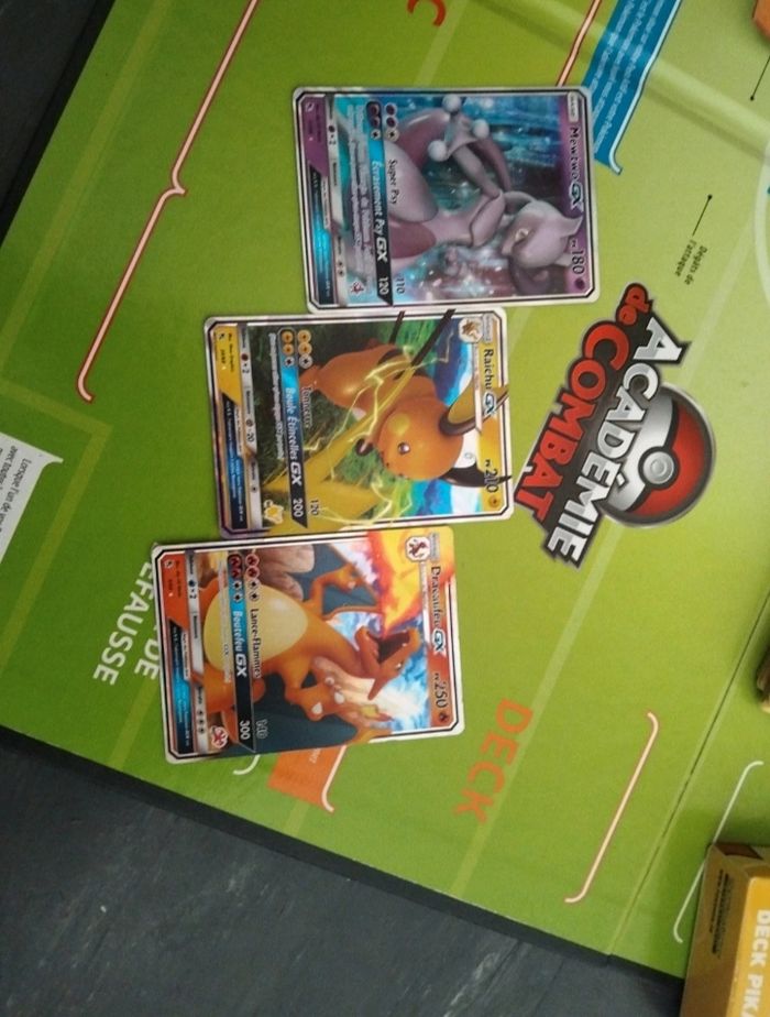 Pokémon académie de combat - photo numéro 5