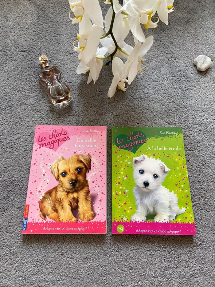 Lots de livres 📚🌺 - photo numéro 5