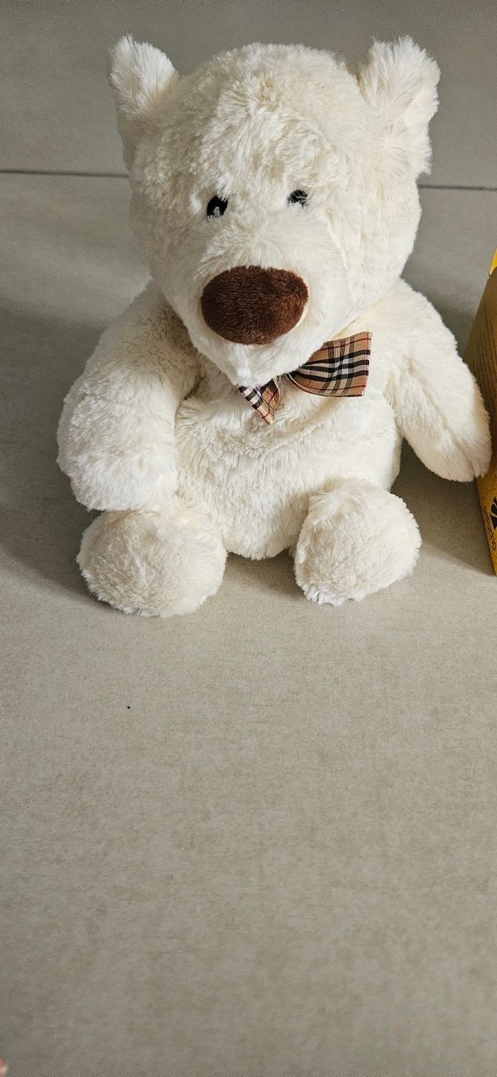 Bouillotte - photo numéro 2