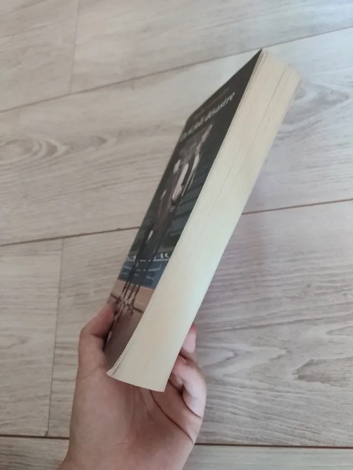 Un si joli désastre Sophie Gonzales PkJ - photo numéro 7