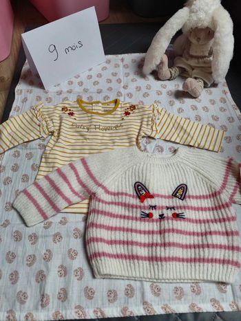 Lot de 2 pulls 9 mois