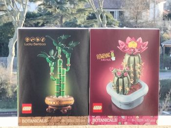 Lego bambou et cactus fleuri