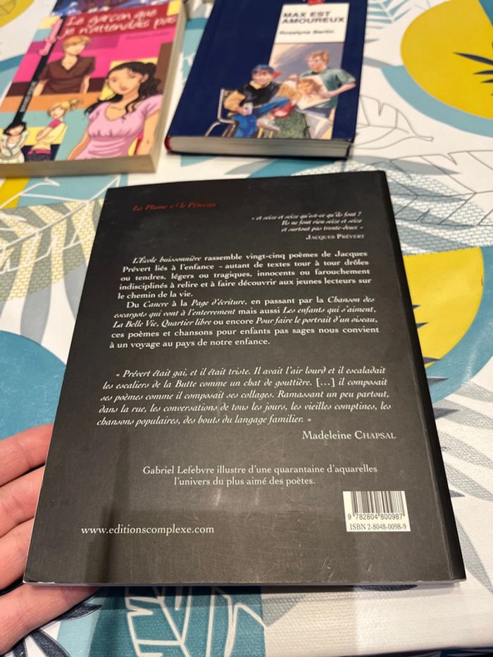Livre ado et pré ado - photo numéro 7