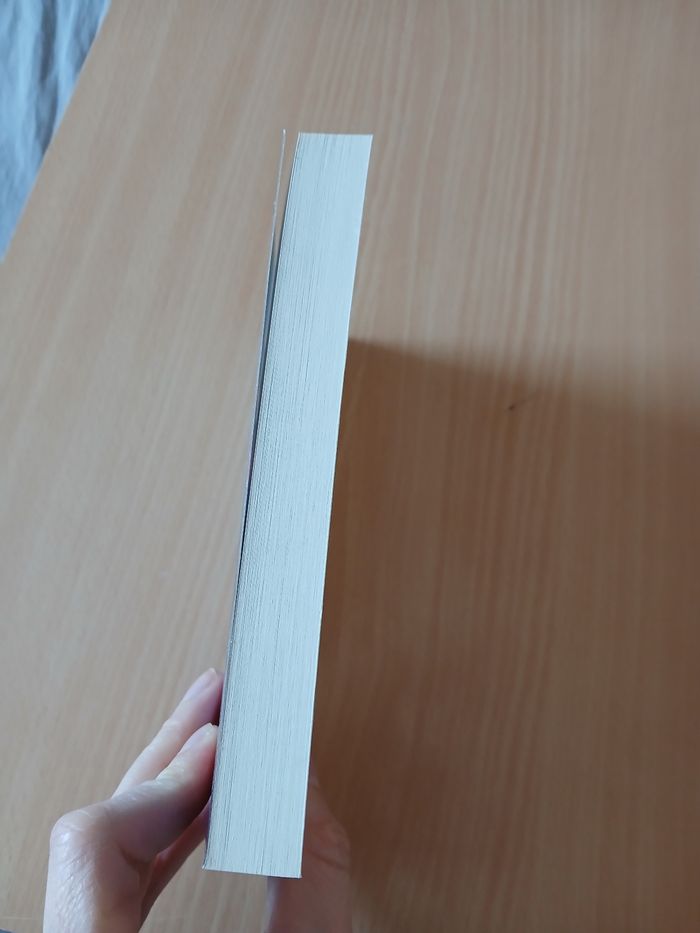 Livre les folies - photo numéro 4