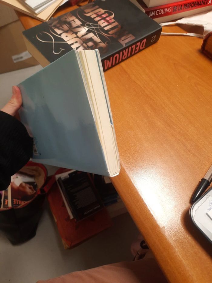 Livre 1 parlement burlesque - photo numéro 8