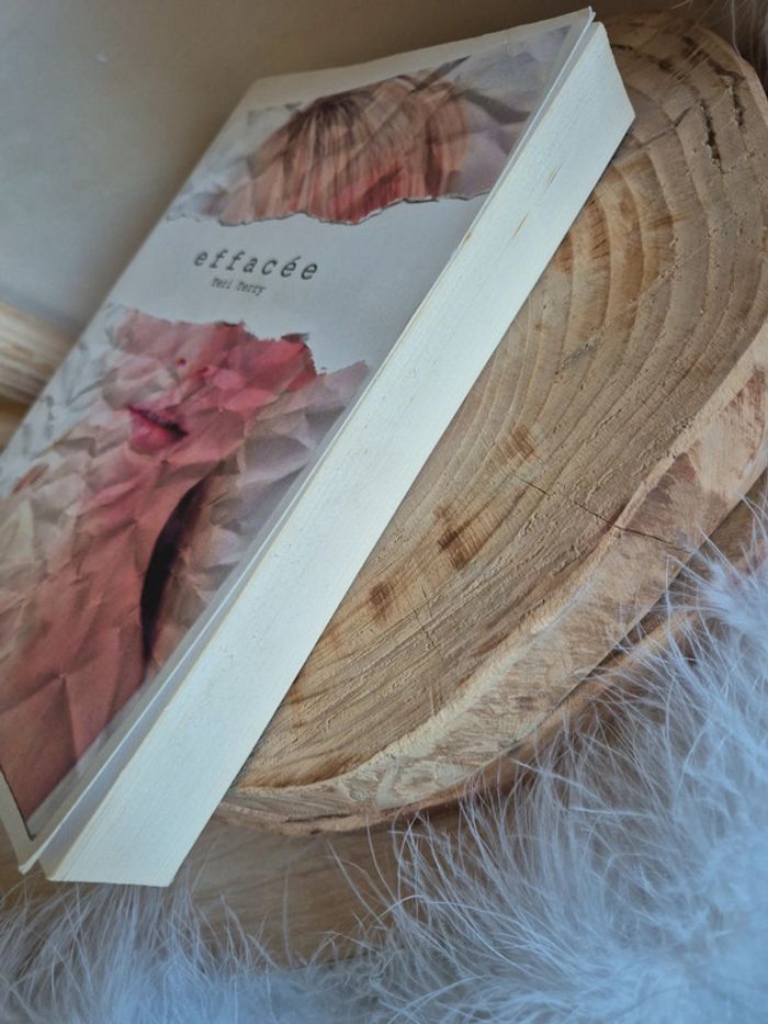 Livre Effacée - photo numéro 3