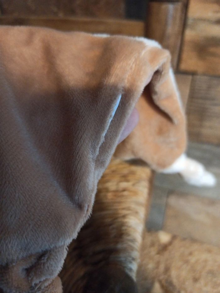 Doudou hérisson tbe - photo numéro 5