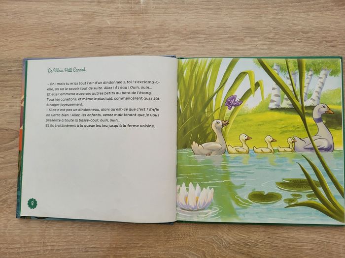 Le vilain petit canard - photo numéro 3