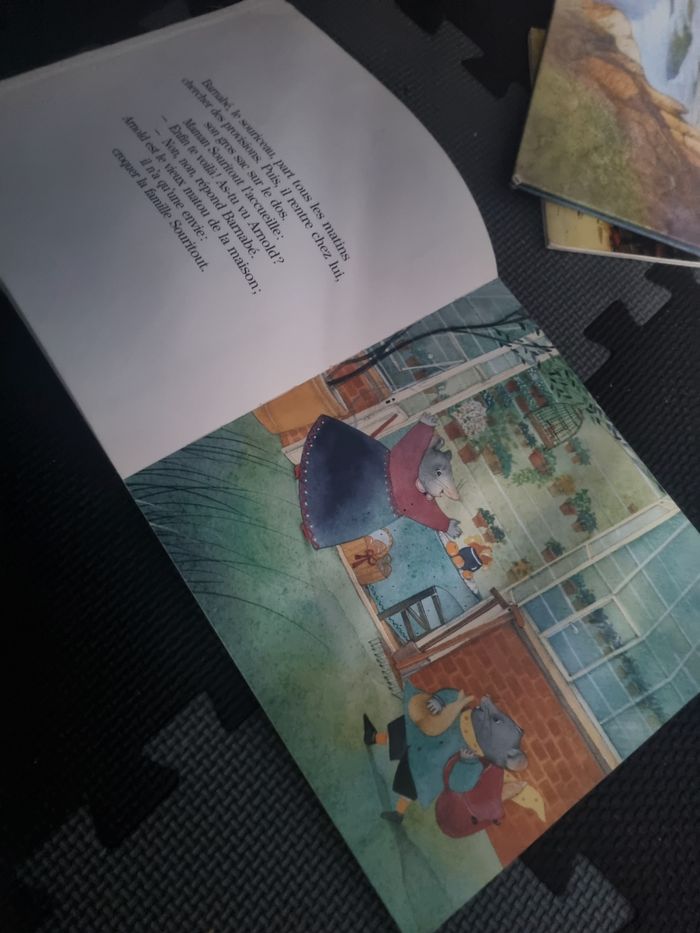 Livre enfant (Barnabé veut lire !) Dès 5ans - photo numéro 5
