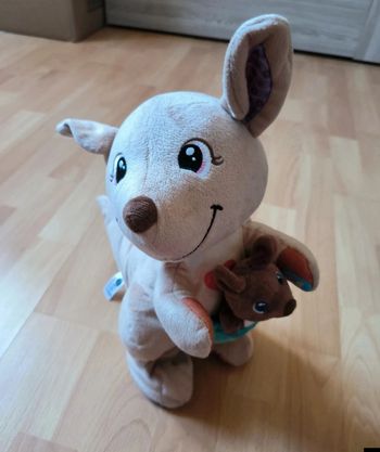 Mon kangourou Love et son bébé 
