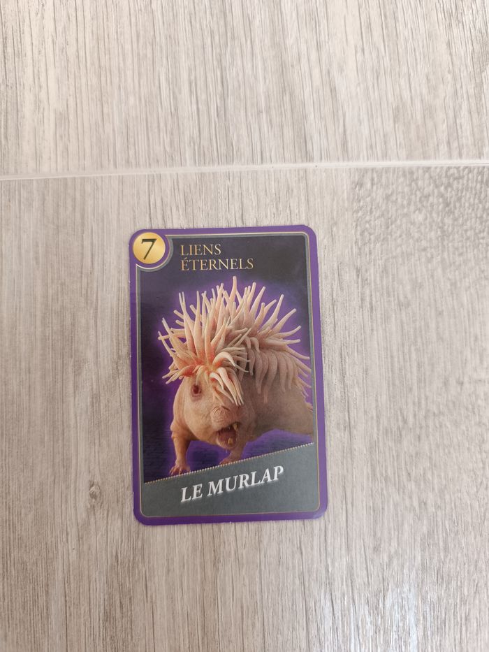 Carte à collectionner Harry Potter