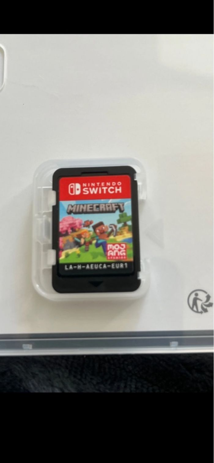 Minecraft switch - photo numéro 2