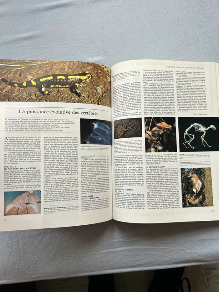 Livre « la fabuleuse aventure de la vie » - photo numéro 4