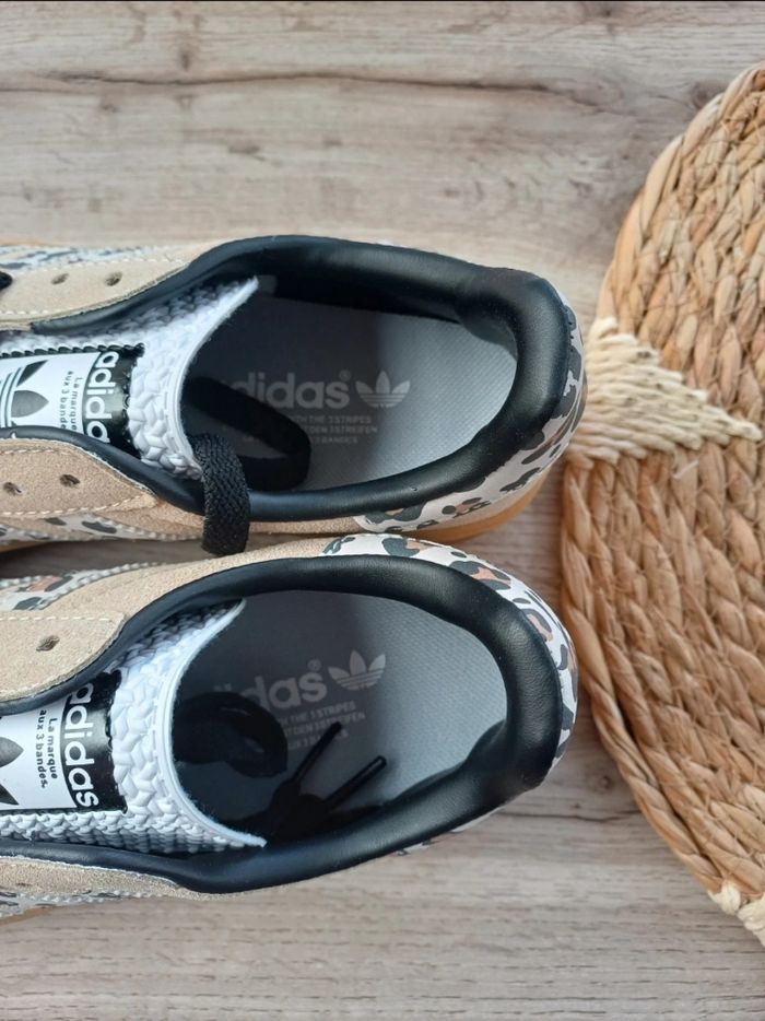 Magnifique Gazelle - photo numéro 5