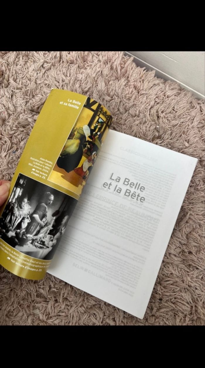La belle et la bête collège - photo numéro 4