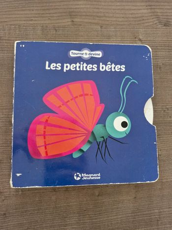 Livre animaux Les petites bêtes