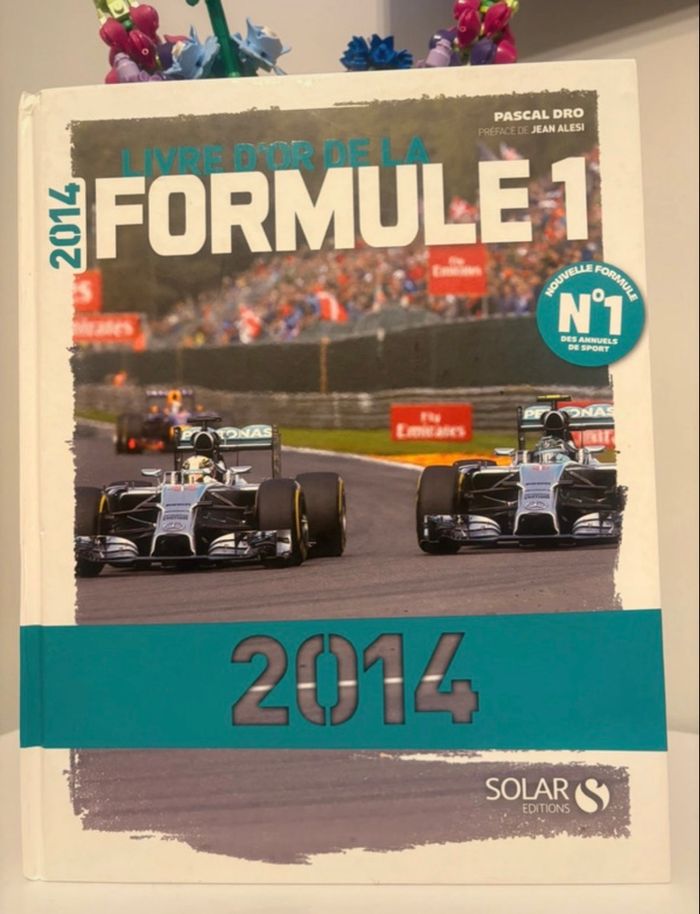 🏎️ F1 2014 - photo numéro 4