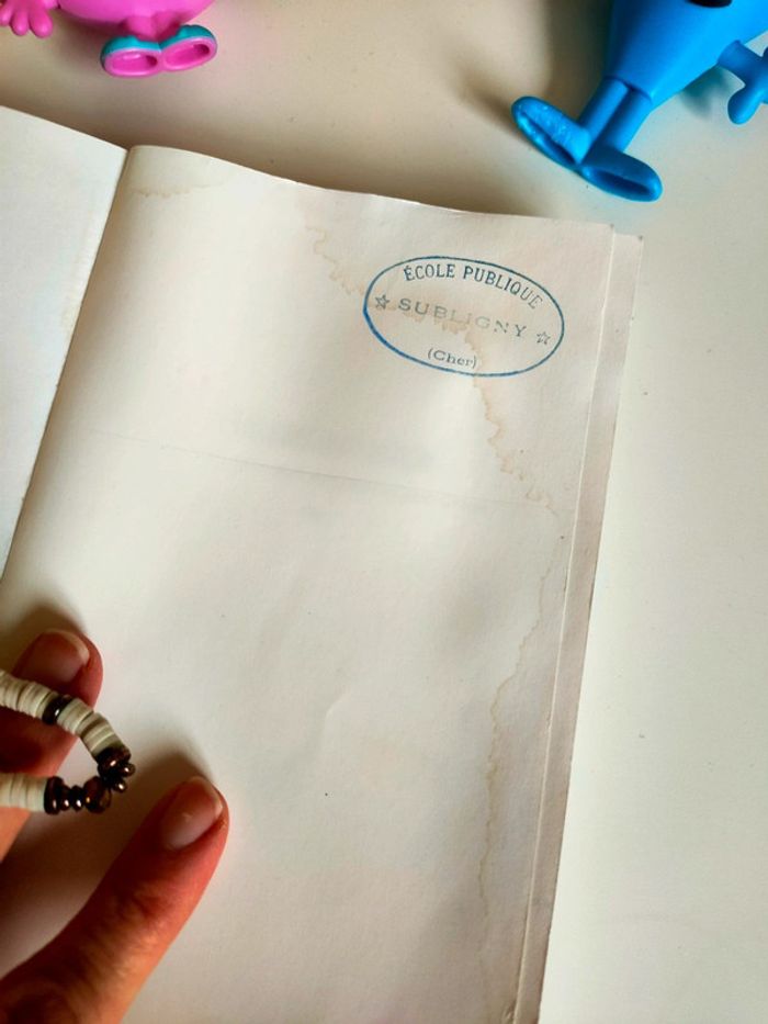 Romain, graine de champion
Livre de Frédéric Jaillant - photo numéro 2