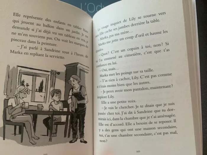 Pour Lily - quartier sensible de Marie Desplechin - photo numéro 3