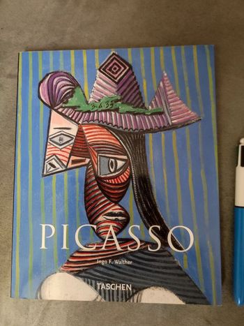 Livre d'art Picasso