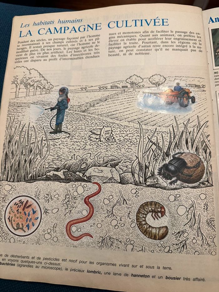 Album Panini complet WWF Nature en danger fonds mondial pour la nature stickers autocollants livre - photo numéro 12